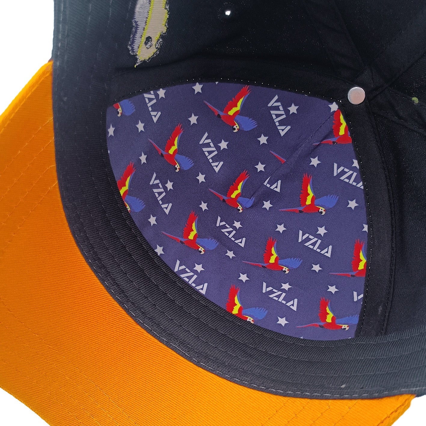 Gorra VZLA x DMC I #240910 I V10