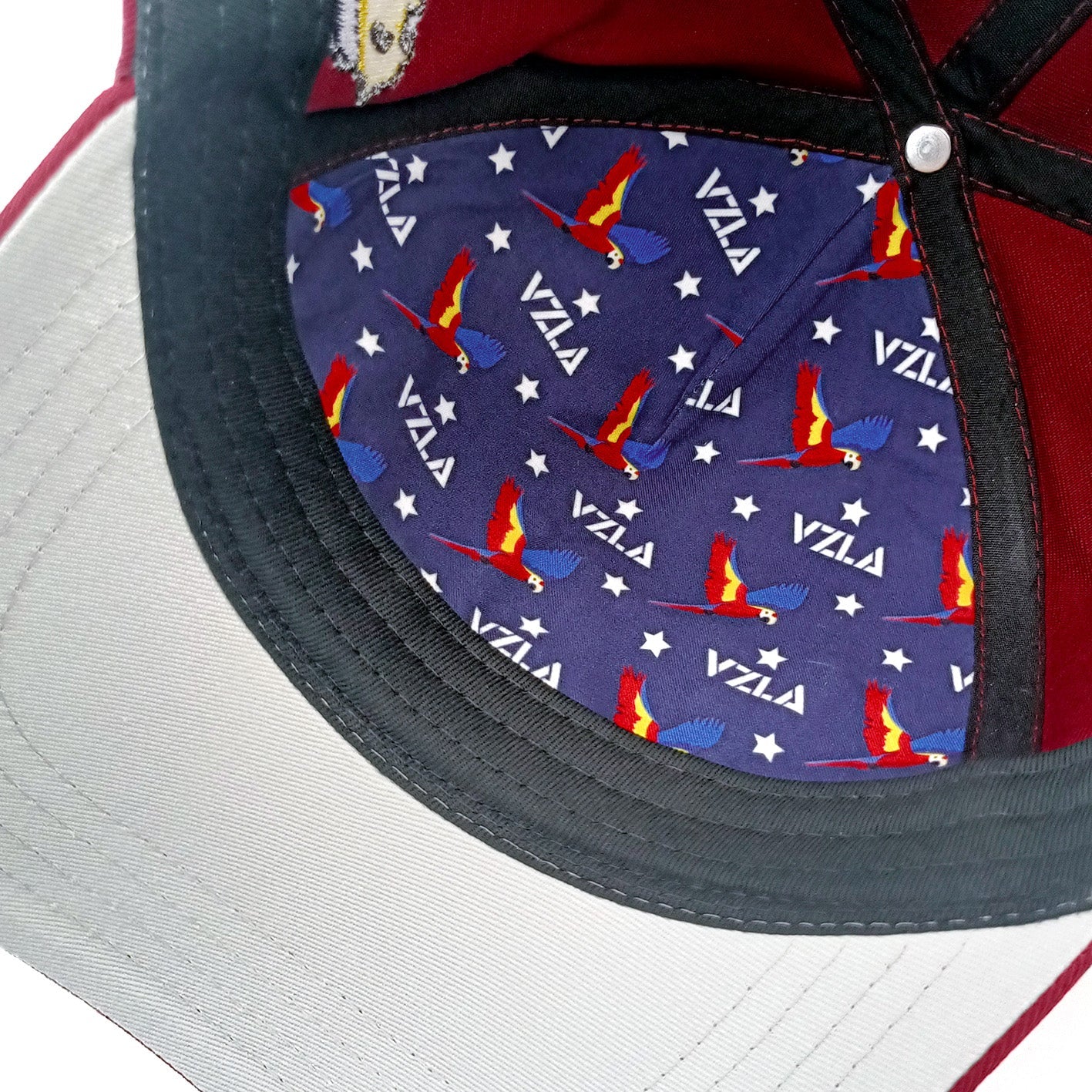 Gorra VZLA x DMC I #240912 I V12