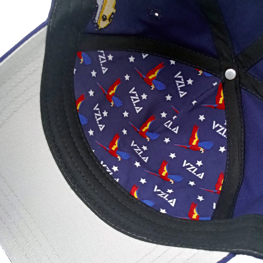 Gorra VZLA x DMC I #240901 I V1