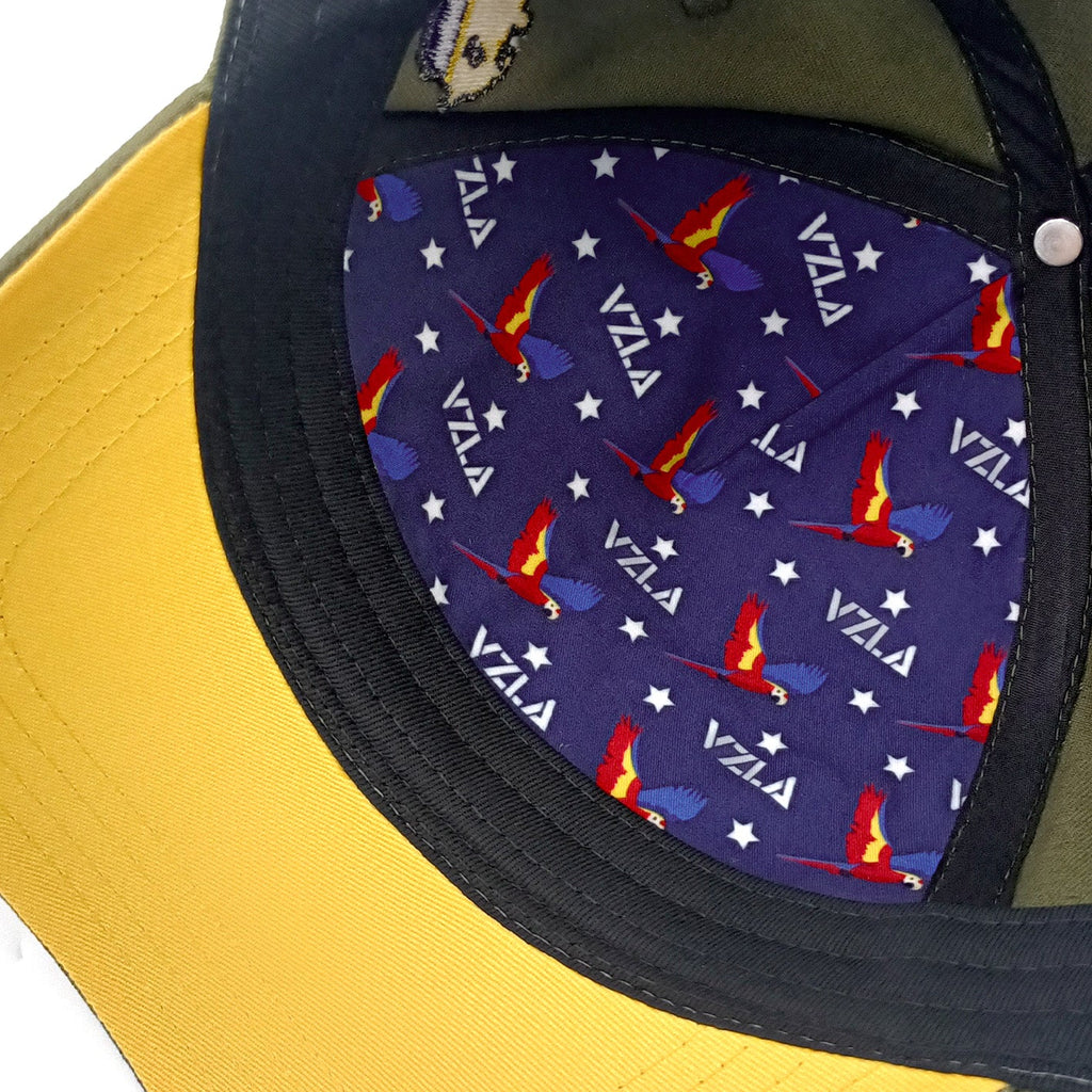 Gorra VZLA x DMC I #240902 I V2