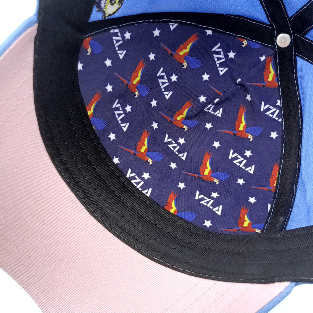 Gorra VZLA x DMC I #240904 I V4