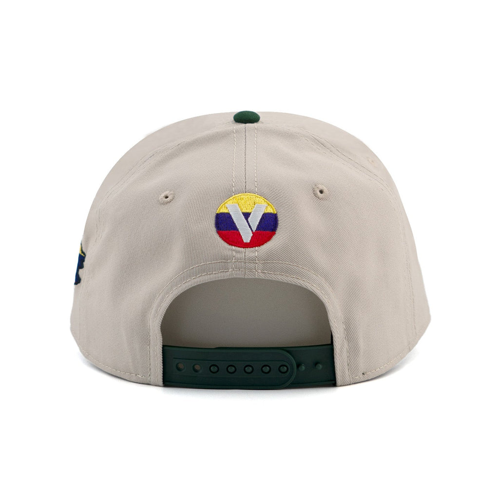 Gorra VZLA x DMC I #240905 I V5