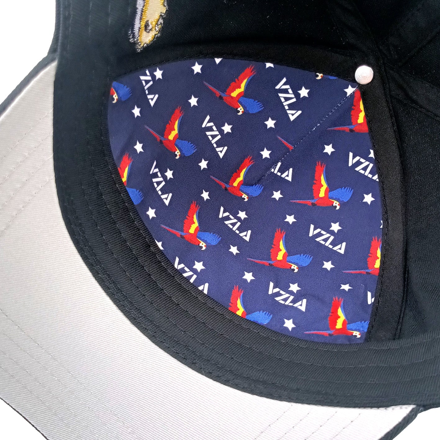 Gorra VZLA x DMC I #240906 I V6