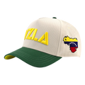 Gorra VZLA x DMC I #240905 I V5