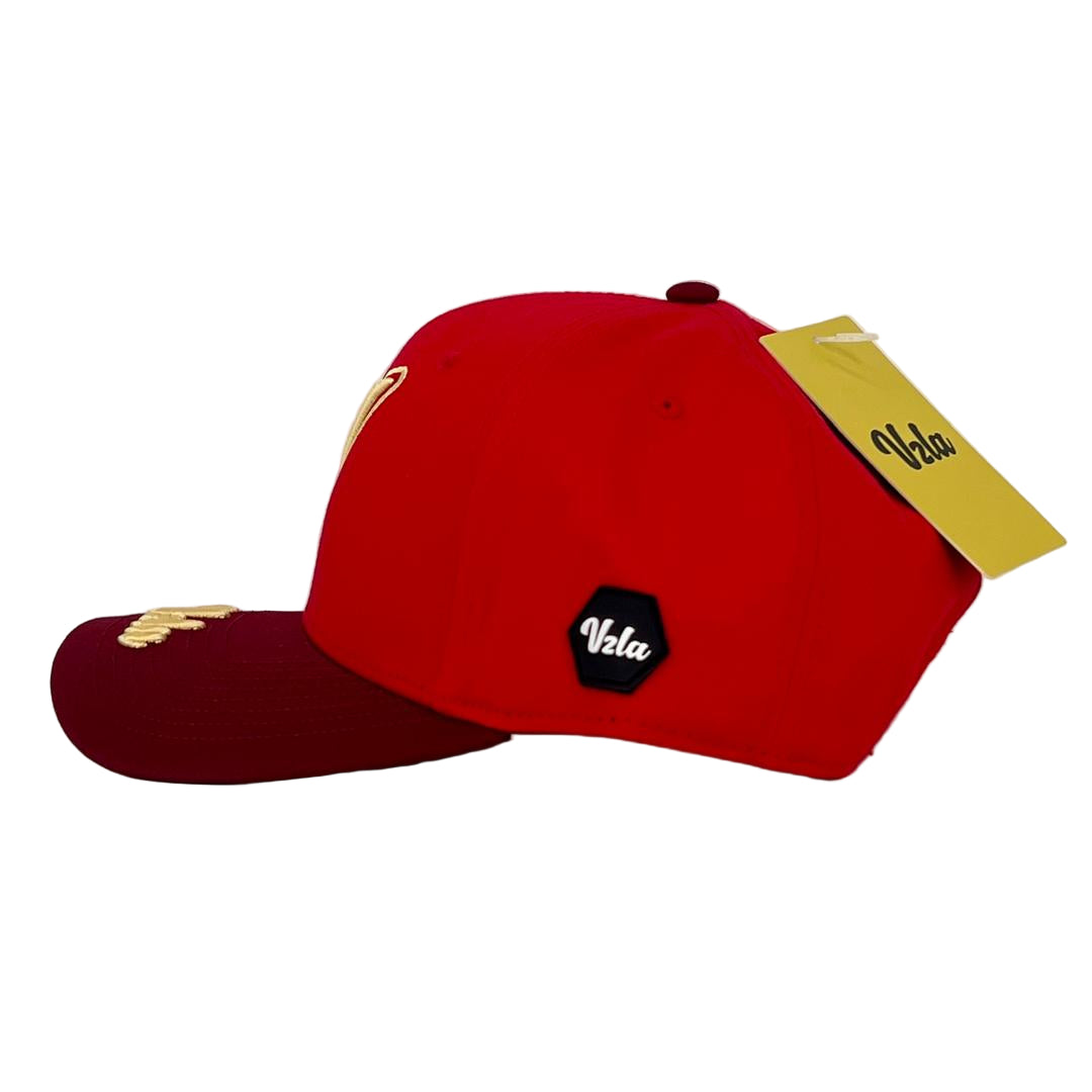 VZLA x V | V011